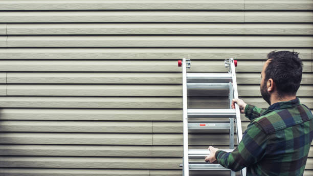 Best Insulated Siding Installation  in Phelan, CA