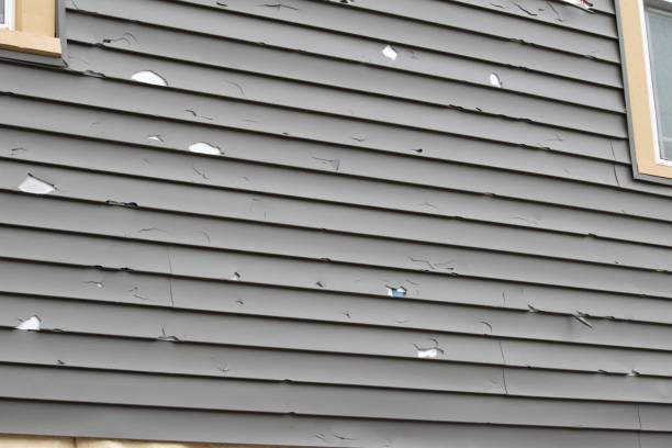 Best Siding for Multi-Family Homes  in Phelan, CA